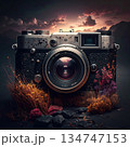 カメラのある風景 134747153