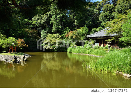浄瑠璃寺　苑池と本堂(京都府木津川市) 134747571
