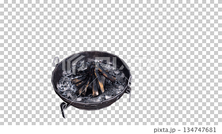 火を消した後の木と灰のイラスト 134747681