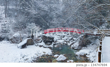 夕森渓谷（冬） 134747694