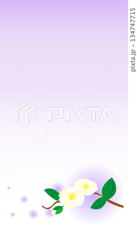 カラフルな花のフレーム　椿　枠　フレーム 134747715