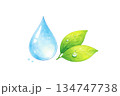 自然や環境をイメージした水滴と葉のイラスト素材 134747738