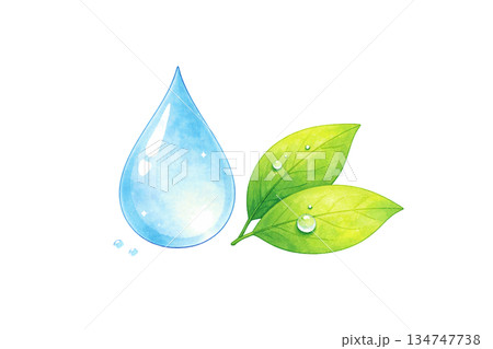 自然や環境をイメージした水滴と葉のイラスト素材 134747738