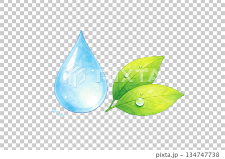 自然や環境をイメージした水滴と葉のイラスト素材 134747738