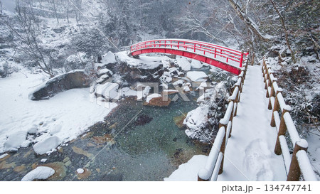 夕森渓谷（冬） 134747741