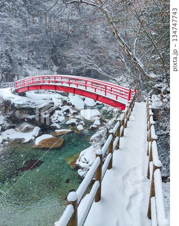 夕森渓谷（冬） 134747743