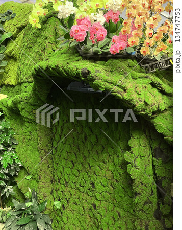植物 工場 プランツ 134747753