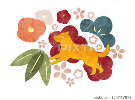 いぬと植物の北欧風年賀イラスト 134747978