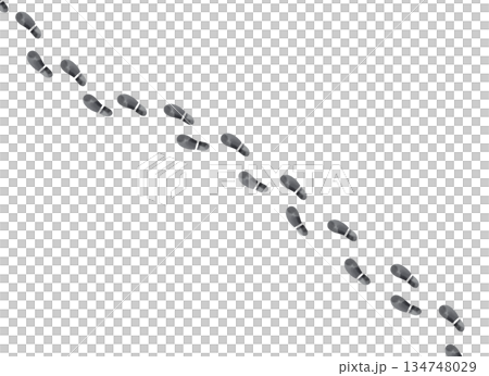 足跡のイラスト素材 歩いた軌跡や成長のイメージ背景 足跡のイラスト素材 歩いた軌跡や成長のイメージ背景 134748029