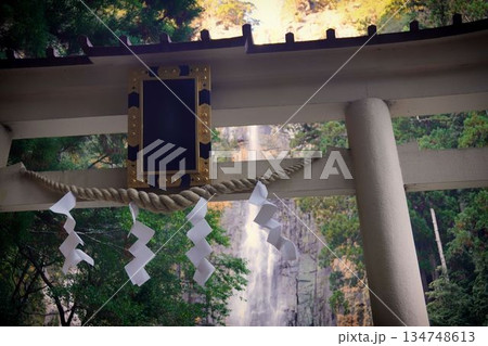 飛瀧神社 飛瀧神社 134748613