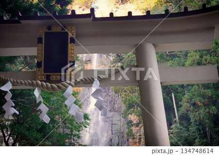 飛瀧神社 飛瀧神社 134748614