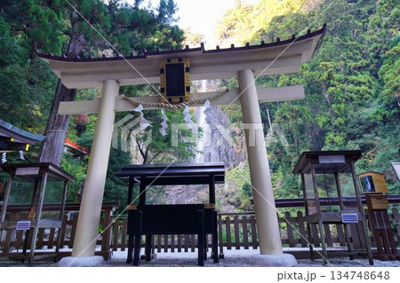 飛瀧神社 134748648