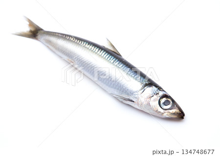 新鮮なウルメイワシ 134748677