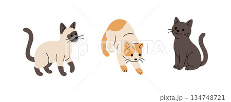 Set of cartoon cats in different poses. Flat vector collection of cute felines for playful children themes 134748721
