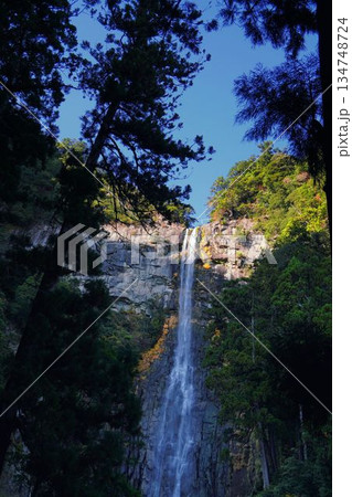 那智の滝 134748724