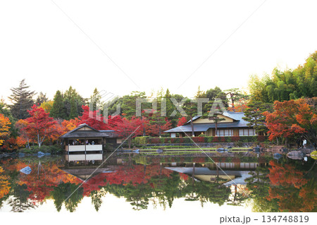 秋の日本庭園と水面に映る和風建築 秋の日本庭園と水面に映る和風建築 134748819