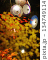 ライトアップされた紅葉と和傘 ライトアップされた紅葉と和傘 134749114