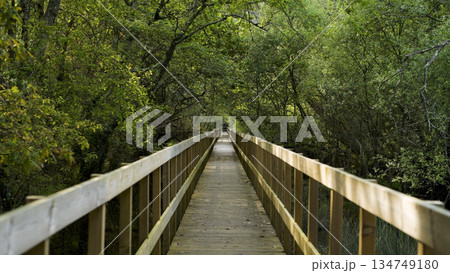 Wooden pathway in Lagoas de Bertiandos 134749180