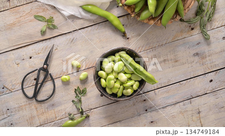 Fresh and raw green broad beans 134749184