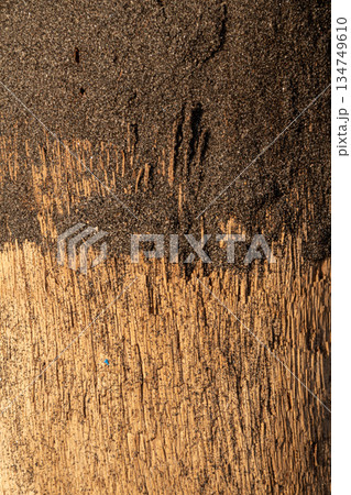 Wood Texture with Sand Overlay, Abstract Natural Pattern Background for Material Design and Organic Surface Concept Wood Texture with Sand Overlay, Abstract Natural Pattern Background for Material Design and Organic Surface Concept 134749610