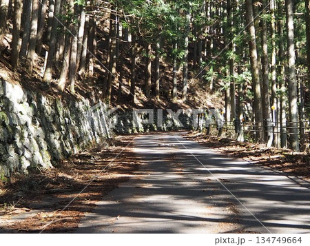 川苔山の山道 134749664