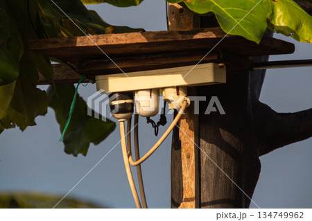 Power outlet installation on a wooden post outdoors with tropical foliage and sky background for electrical access in remote locations 134749962