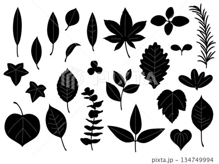 シンプルな葉っぱセット 134749994