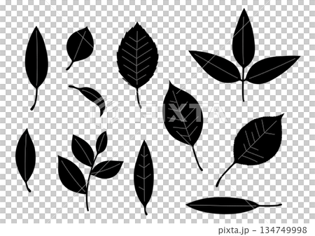 簡易葉子套裝 134749998