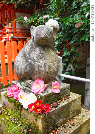 京都 大豊神社 狛ねずみと美しい椿(京都府京都市左京区) 京都 大豊神社 狛ねずみと美しい椿(京都府京都市左京区) 134750438