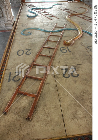 Cobra snake Cobra snake 134750586