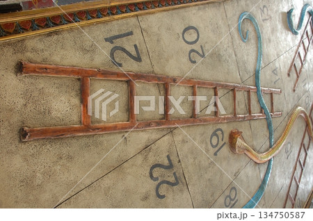 Cobra snake 134750587