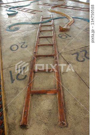Cobra snake Cobra snake 134750588