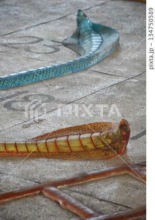 Cobra snake 134750589