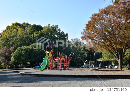 神奈川県 相模原麻溝公園の子どもの広場と複合遊具と紅葉 神奈川県 相模原麻溝公園の子どもの広場と複合遊具と紅葉 134751160