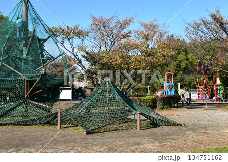 神奈川県　相模原麻溝公園の子どもの広場と複合遊具と紅葉 134751162