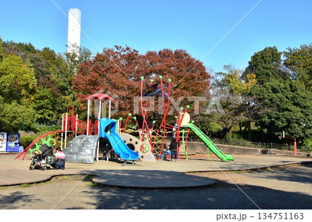 神奈川県　相模原麻溝公園の子どもの広場と複合遊具と紅葉 134751163