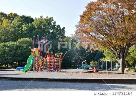 神奈川県 相模原麻溝公園の子どもの広場と複合遊具と紅葉 神奈川県 相模原麻溝公園の子どもの広場と複合遊具と紅葉 134751164