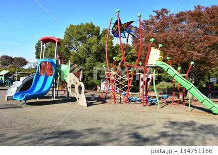神奈川県　相模原麻溝公園の子どもの広場と複合遊具と紅葉 134751166