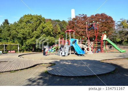 神奈川県　相模原麻溝公園の子どもの広場と複合遊具と紅葉 134751167