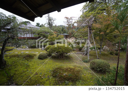 京都大覚寺境内の庭園 134752015