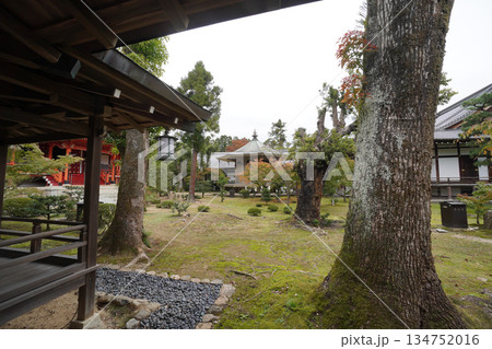 京都大覚寺境内の庭園 京都大覚寺境内の庭園 134752016