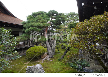 京都大覚寺境内の庭園 京都大覚寺境内の庭園 134752024