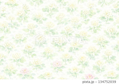 背景素材　シロツメクサ 134752039