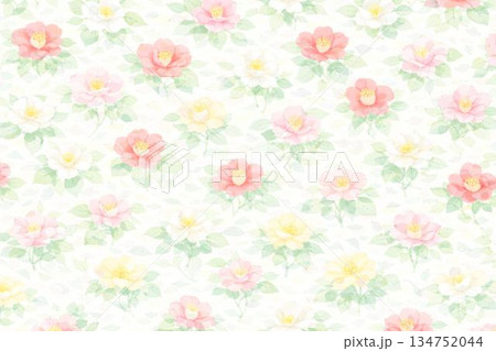 背景素材　ツバキ　椿　サザンカ　山茶花 134752044