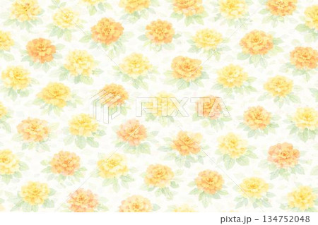 背景素材 マリーゴールド 花 背景素材 マリーゴールド 花 134752048