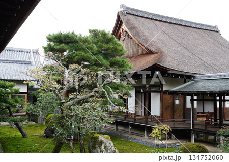 京都大覚寺の境内の風景 京都大覚寺の境内の風景 134752060