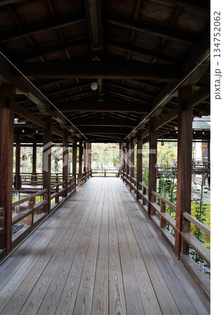 京都大覚寺の村雨の廊下 134752062