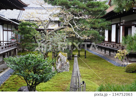 京都大覚寺の境内の風景 京都大覚寺の境内の風景 134752063