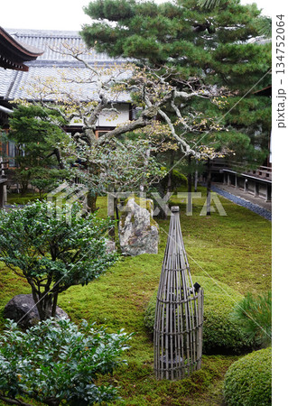 京都大覚寺の境内の風景 134752064