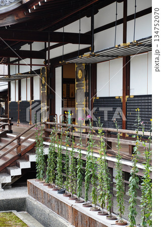 京都大覚寺の境内の風景 134752070
